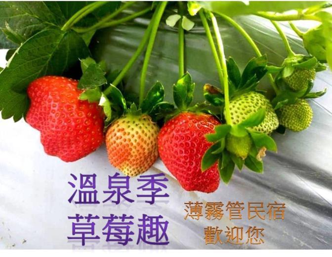 Miaoli Sanyi Bo Wu Guan Homestay Exterior foto